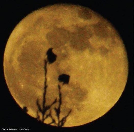 Lua azul e Lua Cheia
