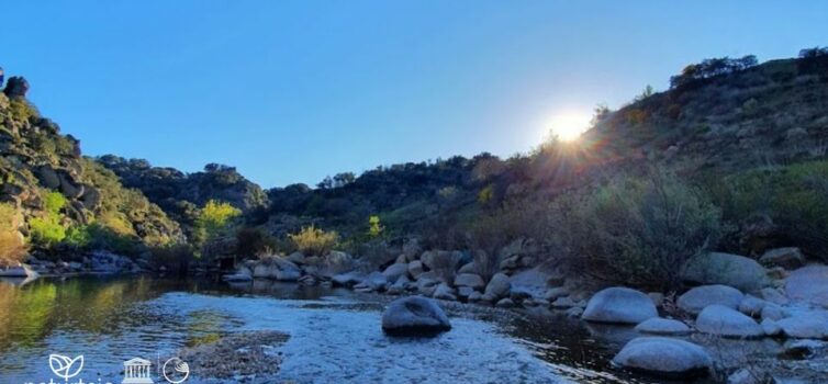 Naturtejo