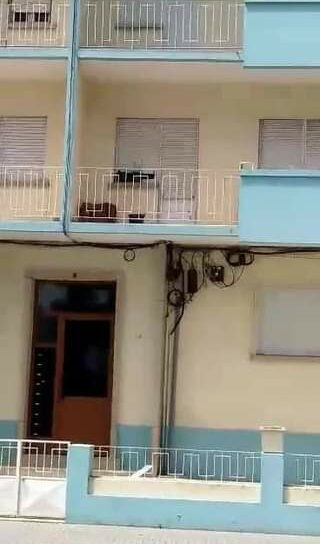 PSP resolve situação de cão numa varanda