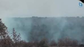 Pelas 14H14 deflagrou no sítio denominado Brejo da Castanha em Monforte da Beira