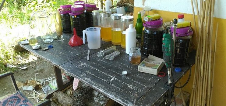 Produzia “ayahuasca”