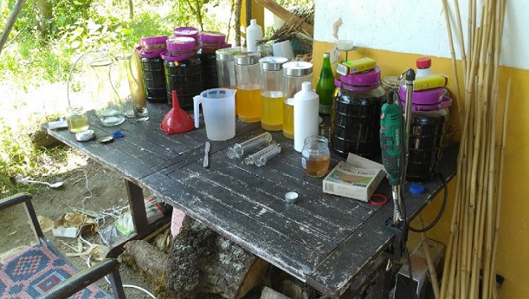 Produzia “ayahuasca”