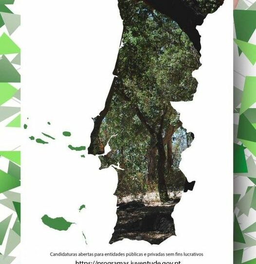 Programa Voluntariado Jovem Natureza e Florestas Projetos aprovados em Castelo B