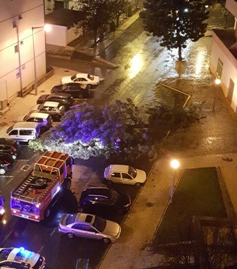 Tempestade Elsa em Castelo Branco