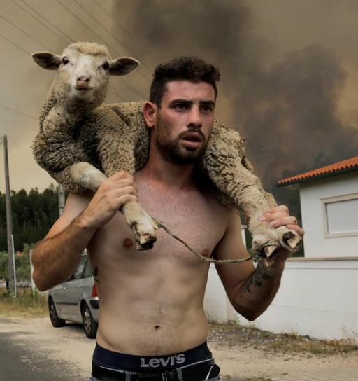 Várias casas arderam e diversas localidades foram evacuadas em Alvaiázere