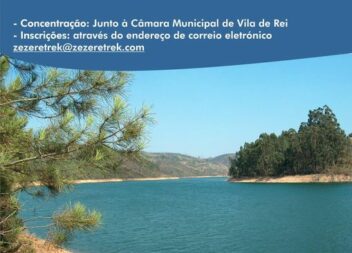 Vila de Rei