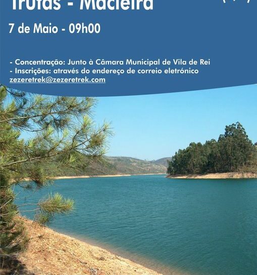 Vila de Rei