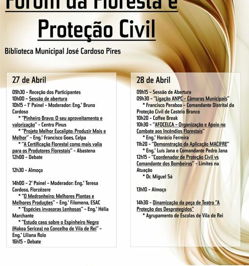 Vila de Rei: