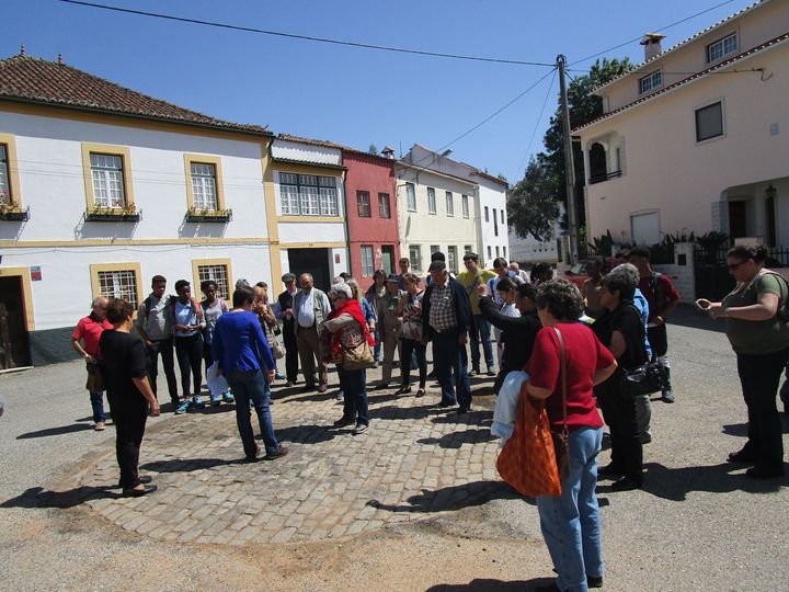 Vila de Rei