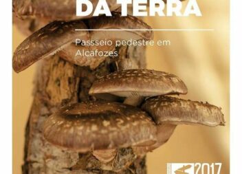 Alcafozes