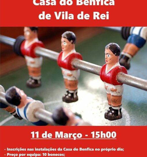 Vila de Rei