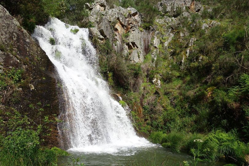 Vila de Rei