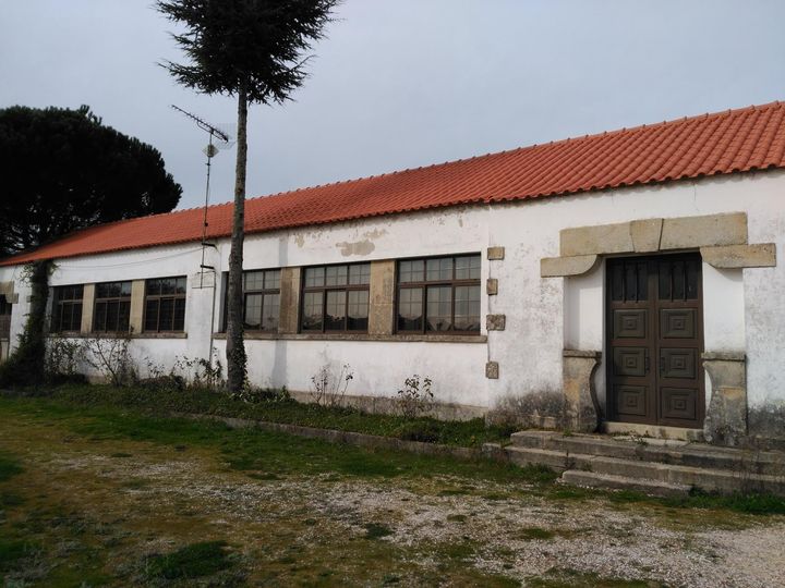Vila de Rei