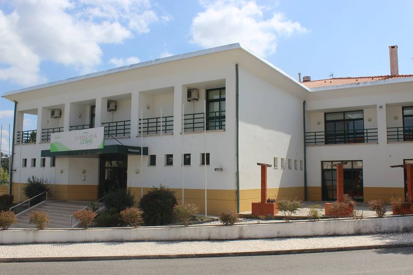 Vila de Rei