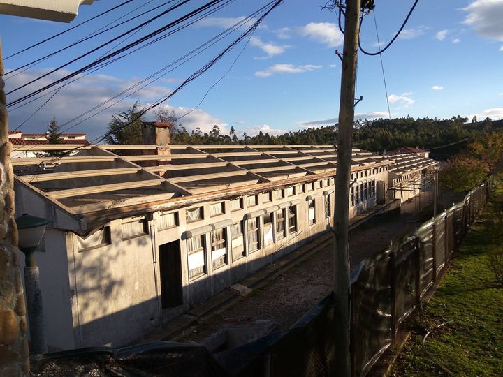Vila de Rei