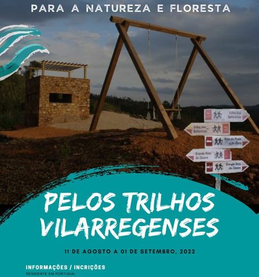 Vila de Rei