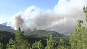 EM DIRETO: BEIRA BAIXA TV