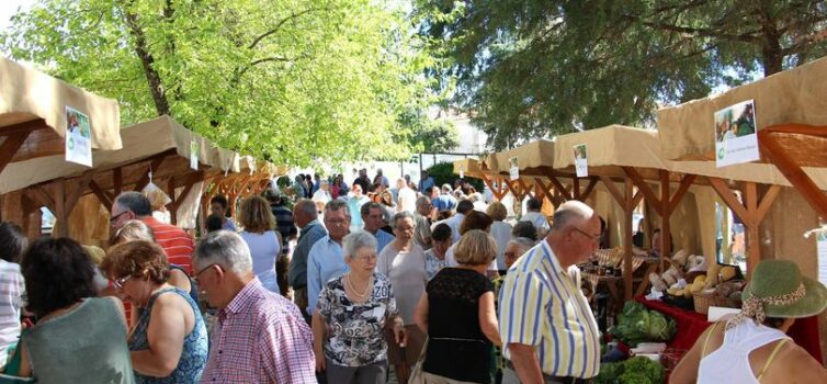 Vila de Rei recebeu “Os Quintais nas Praças do Pinhal”