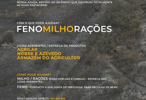 Belmonte