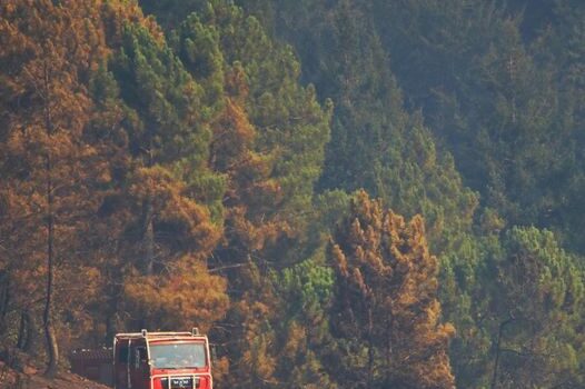 Acidente com carro de bombeiros provoca dois feridos