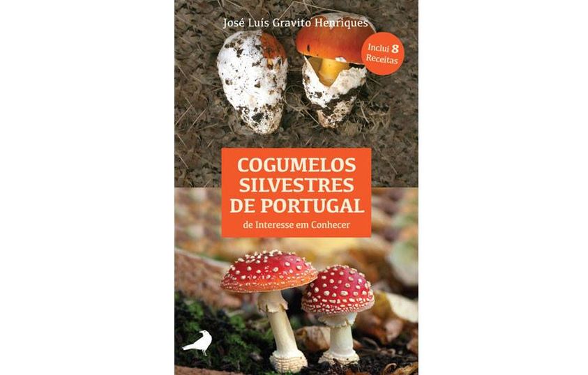 CCV da Floresta promove passeio micológico