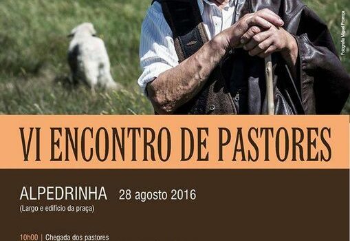 Domingo, 28 de agosto