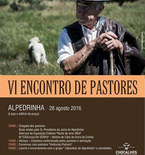 Domingo