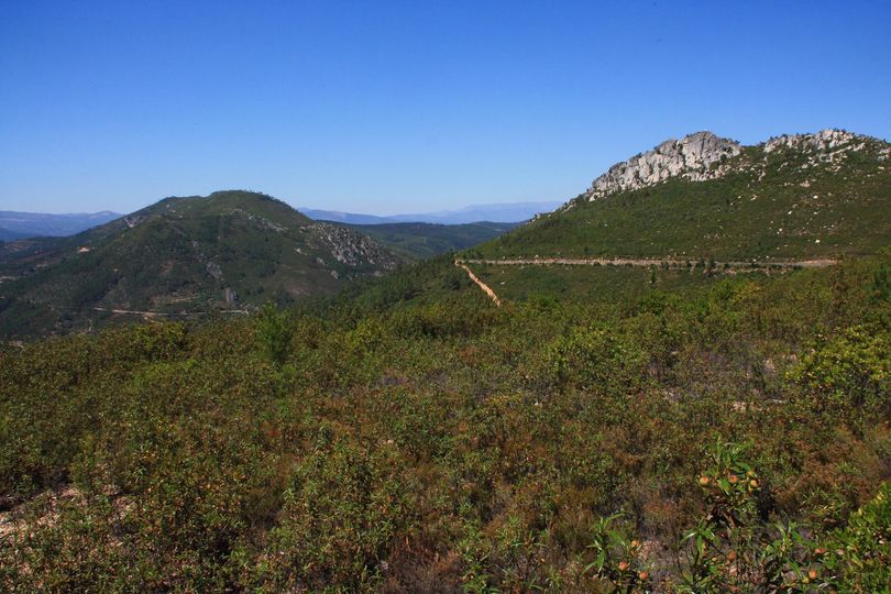 Flora da Serra do Muradal apresentada em livro