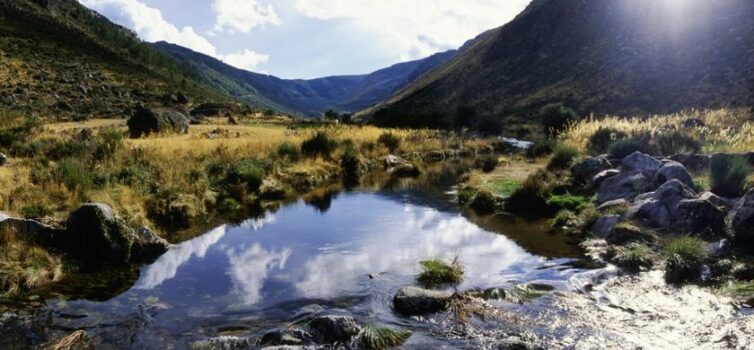 Fogo na serra da Estrela