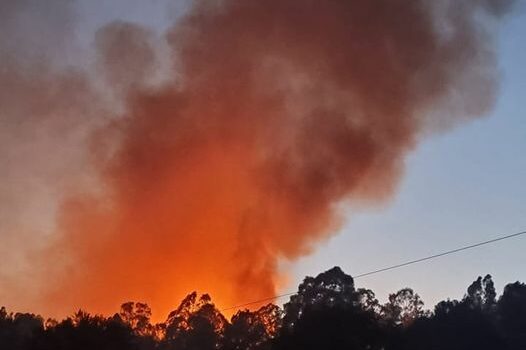 Incêndio em Monfortinho