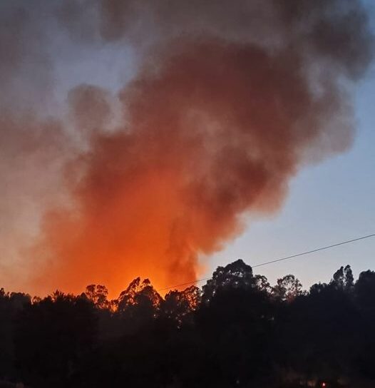 Incêndio em Monfortinho