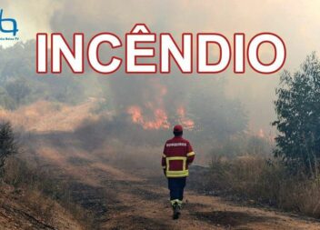 Incêndio florestal em Estreito