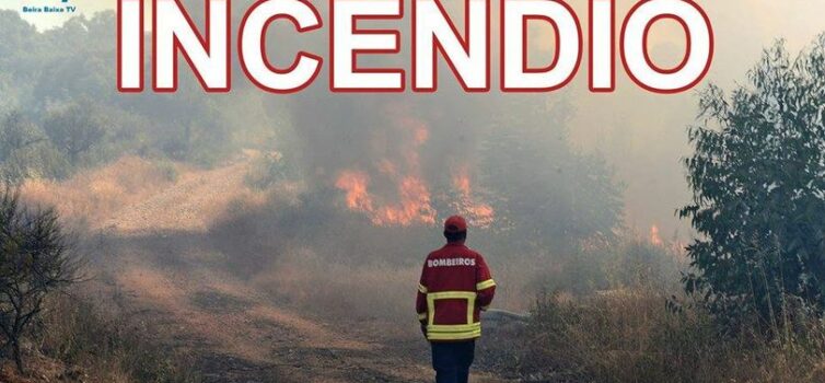 Incêndio florestal em Estreito