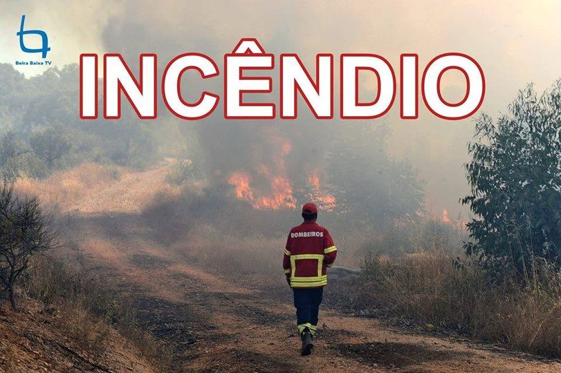 Incêndio florestal em Estreito