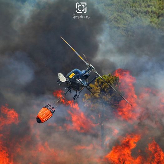 Incêndio na Covilhã considerado o mais devastador do ano