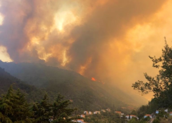 Incêndio provocou “danos enormes” na biodiversidade da Serra da Estrela