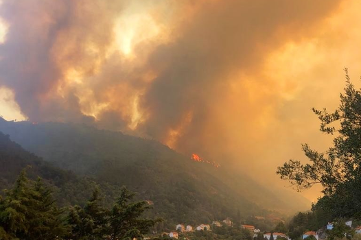 Incêndio provocou “danos enormes” na biodiversidade da Serra da Estrela