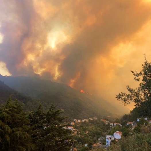 Incêndio provocou “danos enormes” na biodiversidade da Serra da Estrela