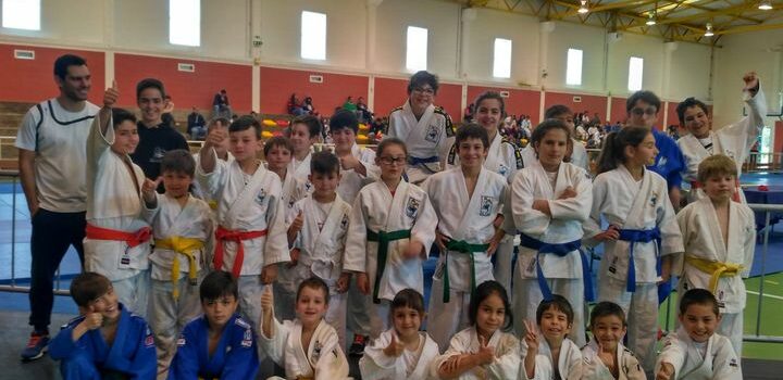 Judoquinhas em Ferreira do Zêzere