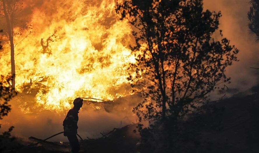 Mais de 250 operacionais combatem fogos em Tomar e Abrantes