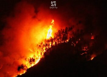 Mais de 600 operacionais no combate ao incêndio que deflagrou na Covilhã
