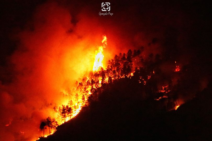 Mais de 600 operacionais no combate ao incêndio que deflagrou na Covilhã