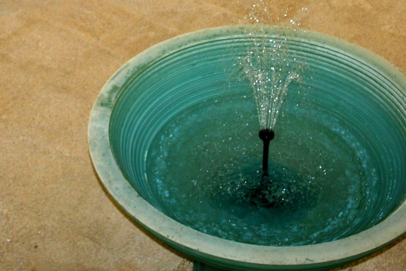 Naturtejo e Termas de Monfortinho apostam da diversificação