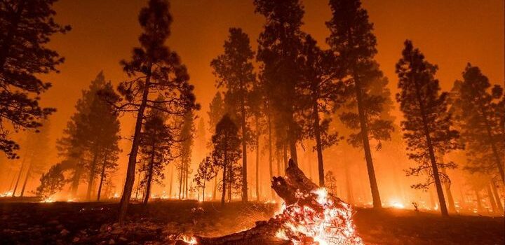 Novo incêndio na Serra da Estrela
