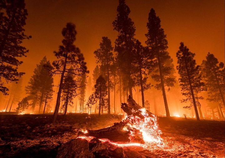 Novo incêndio na Serra da Estrela