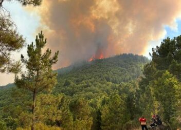 O presidente da câmara Manteigas, Flávio Massano tem realizado, nas redes sociai