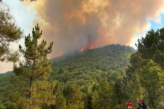 O presidente da câmara Manteigas, Flávio Massano tem realizado, nas redes sociai