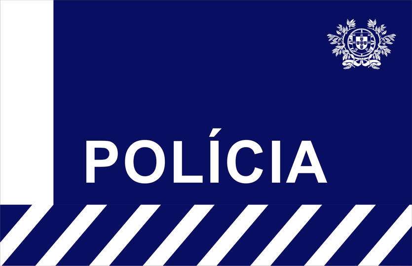 PSP apreende armas e faz 363 detenções