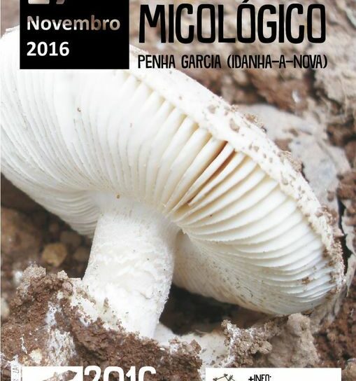 Passeio Micológico em Penha Garcia