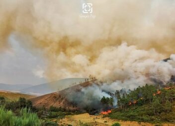 Presidente da CIM-BSE pede análise ao combate ao incêndio "Não pode o vento just